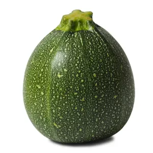25 Seeds of Round Zucchini Globe Shaped Summer Squash for Grilling Sautéing Roasting Stuffing and Baking Perfect for Stews Soups and Salads Grow Your Own Versatile Zucchini with Mild Sweet Flavor and Firm Texture for All Your Favorite Recipes
