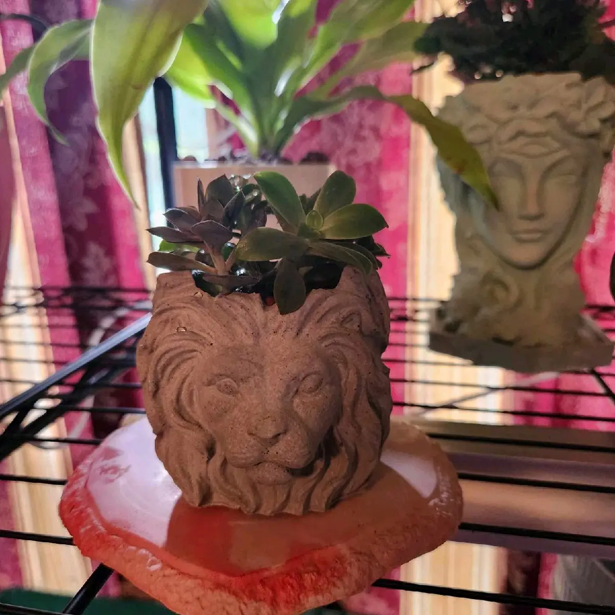 Lion Concrete Planter Lion Concrete Planter