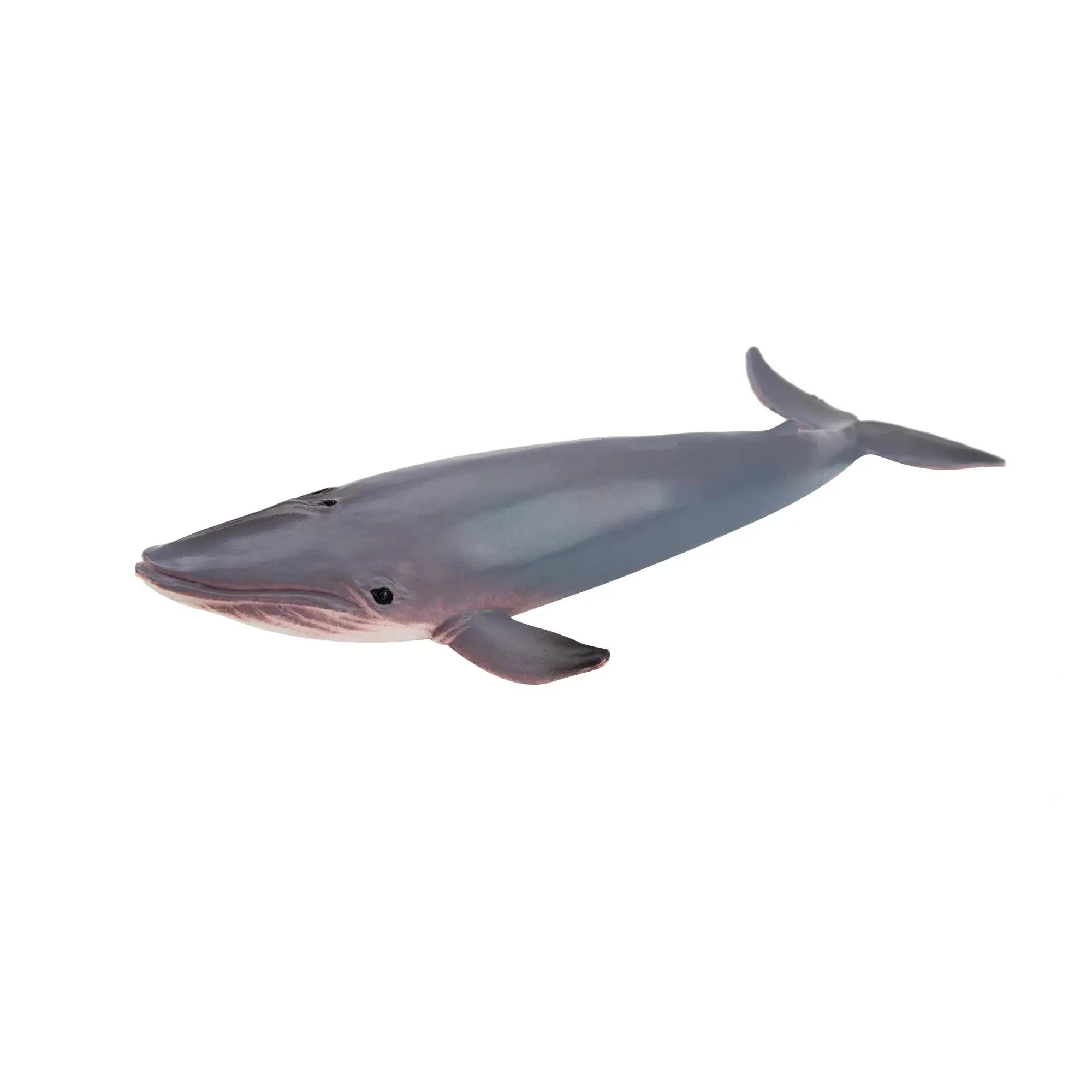 Toymany Hand-Painted Mini Blue Whale Figurine - Realistic Unisex Marine Life Model, Ideal for Early Education, Cake Decor, Desk & Home Accents, Thoughtful Gifts, Collectibles