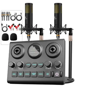 Squarock Podcast Equipment Bundle for 2, Voice Changer with LAB1 Dynamic Podcast Microphone Audio Interface Studio Podcast Perfect for Recording Singing Streaming Gaming
