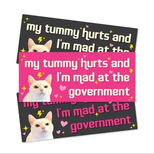 My Tummy Hurts and I'm Mad at The Government Car Sticker, 1 Count Waterproof Vinyl Bumper Sticker, Funny Car Decals for Car, Auto, Motorcar, Windows, Truck, Laptop, Car Accessories Girl, Cool Car Decoration