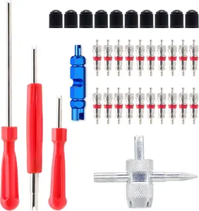 Valve Stem Removal Tool - 20Pcs Valve Cores, 10Pcs Tire Valve Caps, 4-Way Valve Tool, Valve Core Remover Tool