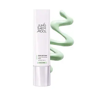 JUNGSAEMMOOL Skin Setting Tone Correcting Base (40ml)