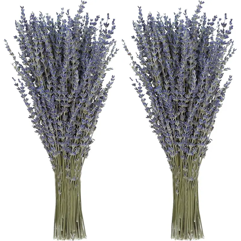 2 Bundles, Dried Lavender Flowers Bundles, (About 200pcs) Dry Lavender Flowers Bouquet Lavender Dried Flowers With Stems for Shower Weeding Home Decoration, Photo Props, Home Aromatherapy Fragrance