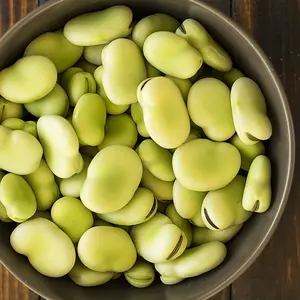 TomorrowSeeds - Aquadulce Fava Bean Seed Broad Windsor Cold Tolerant Summer Faba Green Lima Beans Butter Peas Vegetable Seed Fresh For 2024  -
