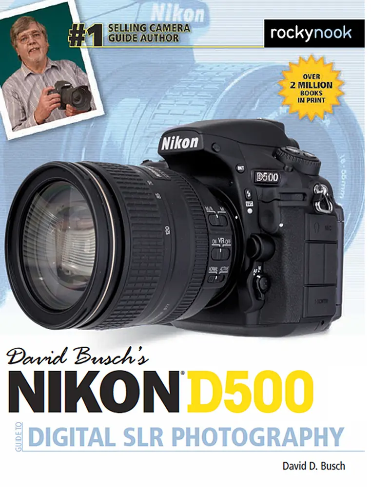 USED Book - David Busch's Nikon D500 Guide to Digital SLR Photography by Busch, David D. (Paperback) - english