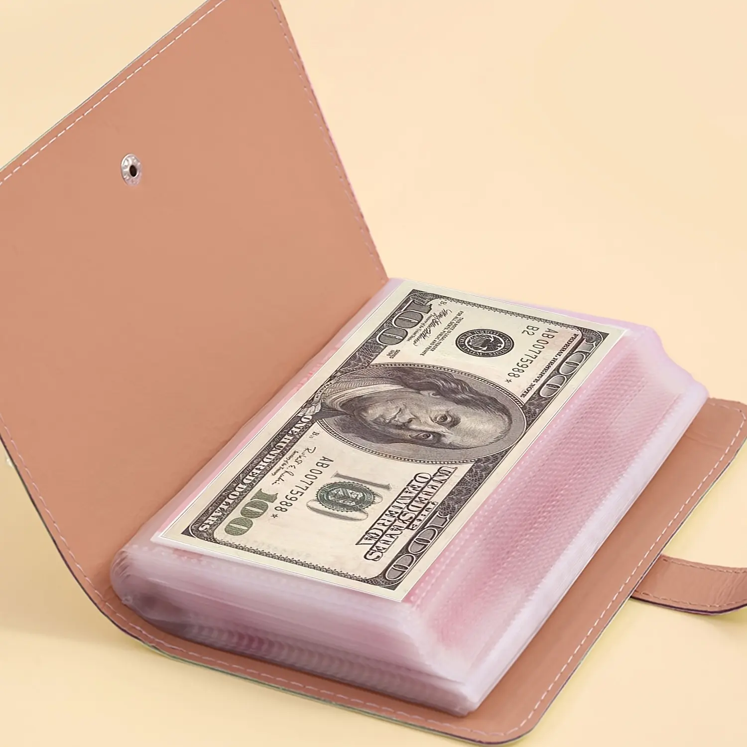 Premium Niche Banknote Album, Holds 100 Notes with Illustrations, Perfect Choice for Avid Banknote Collectors, Ideal Gift