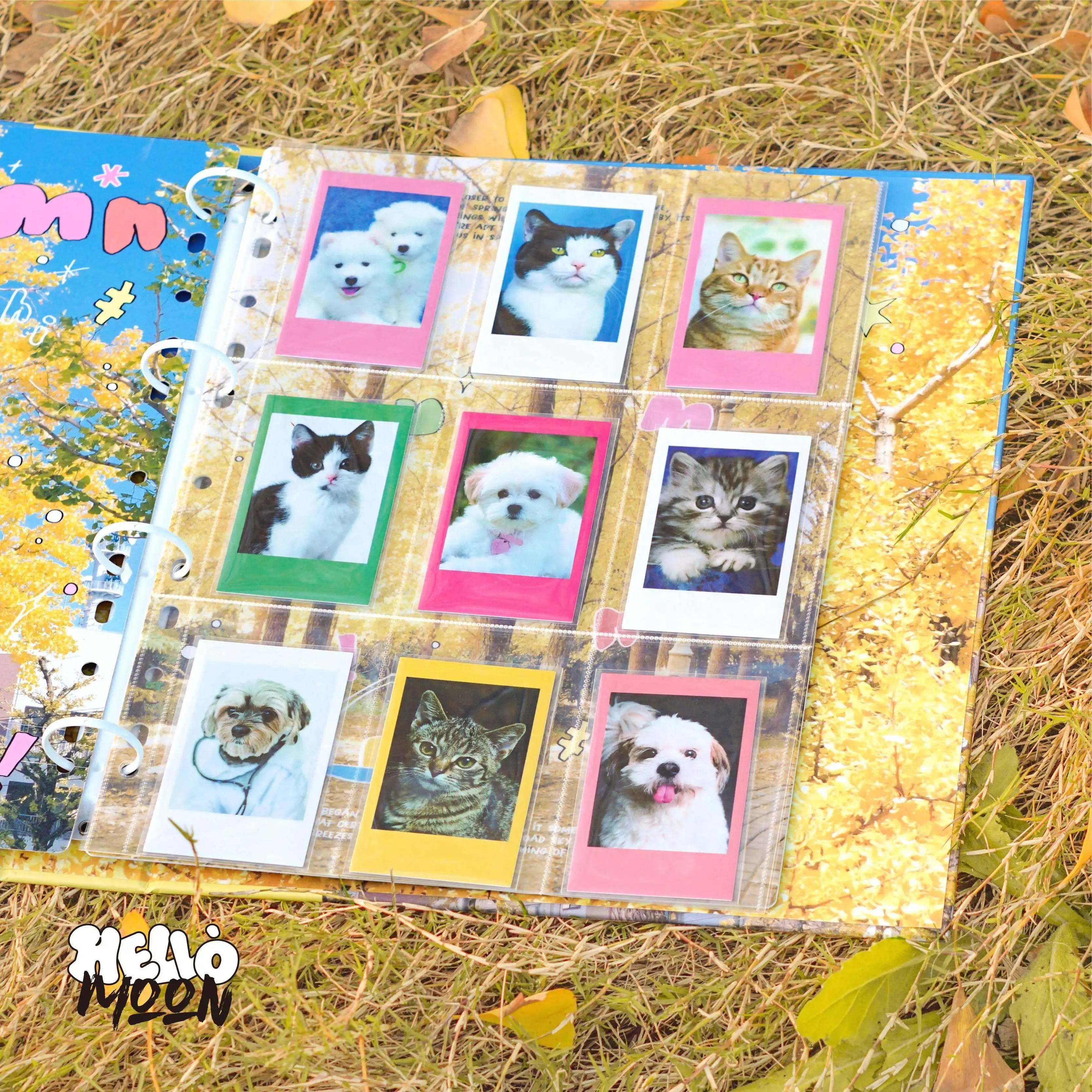 Autumn A4 Hard Shell Binder Photo Album for Postcards, Polaroids & Photocards, Refillable Scrapbook for K-pop Fan Collectibles