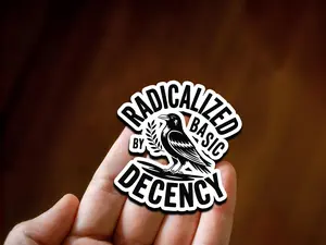 Radicalized by Basic Decency Sticker: Waterproof Vinyl Laptop Decal