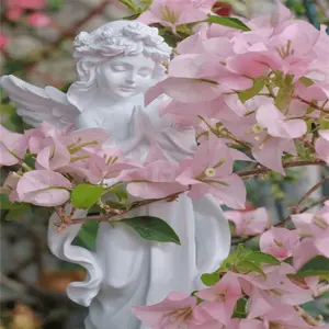 50+ Rare Pink Bougainvillea - South American Jasmine Garden Seeds, Fast Growing, Ideal for Striking Landscaping & Privacy Screen