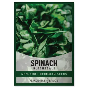 Bloomsdale Spinach Seeds For Planting Home Garden Hydroponic Indoor and Outdoor Seeds
