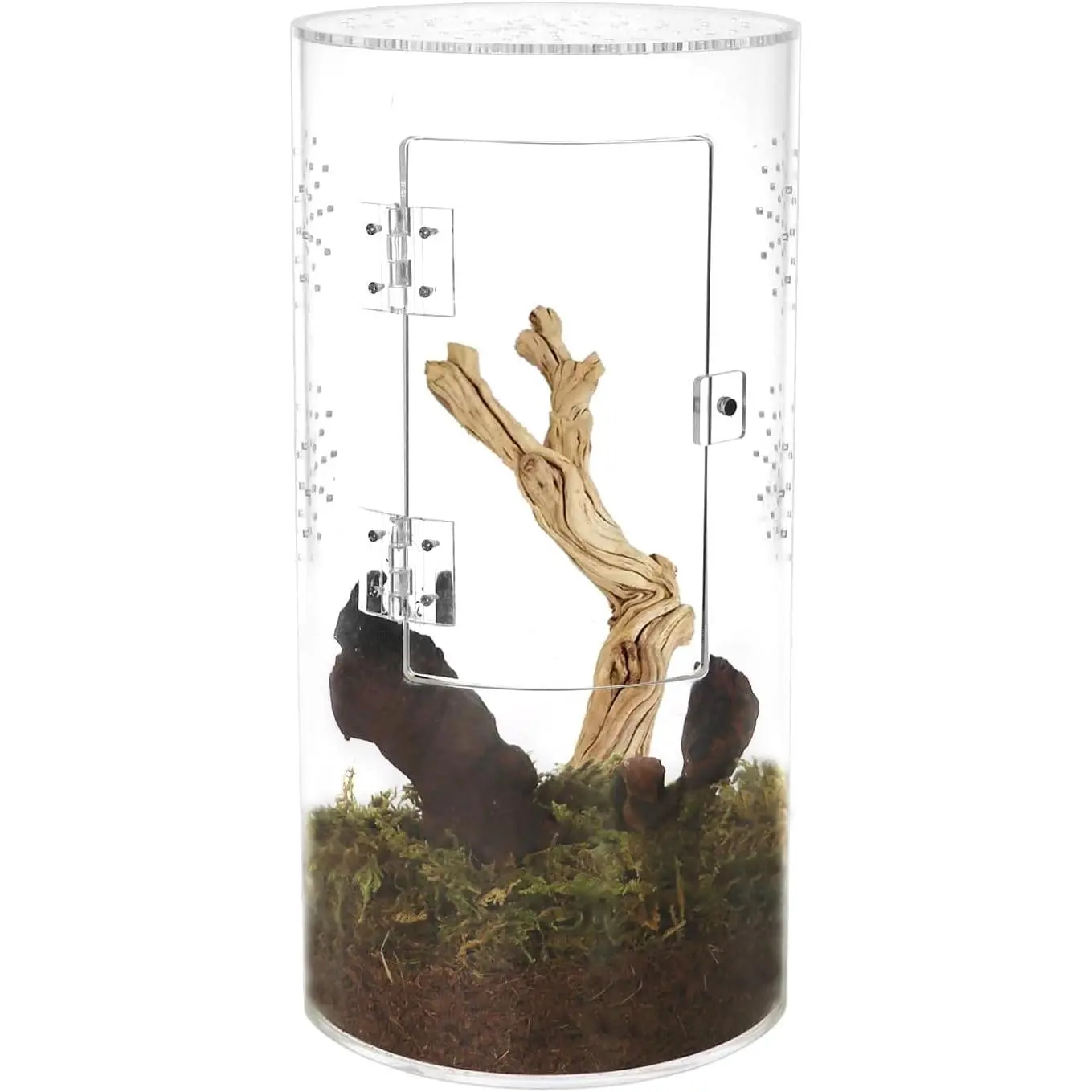 Tarantula Enclosure Jumping Spider Enclosure with Front Opening Door  Habitat Terrarium for Small Tree Dwelling Reptiles, Spiders & Invertebrates