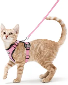 rabbitgoo Cat Harness and Leash for Walking, Escape Proof Soft Adjustable Vest Harnesses for Cats, Easy Control Breathable Reflective Strips Jacket,East 12