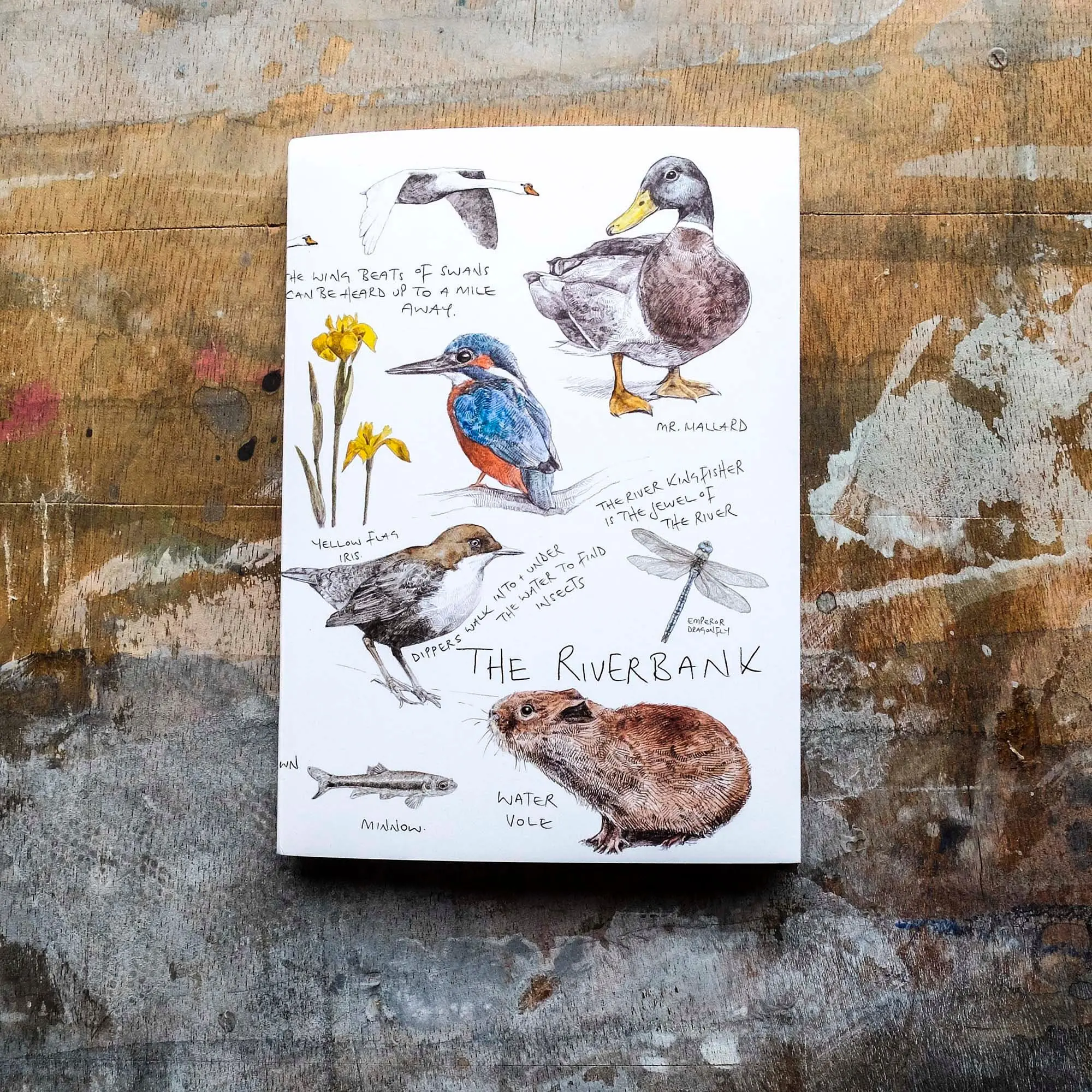 Riverbank Notebook - A6 Plain Paper, nature sketchbook
