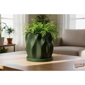Modern Tulip Planter with Drainage and Drip Tray Sculpted Organic Plant Pot Small Medium Large, Tulip