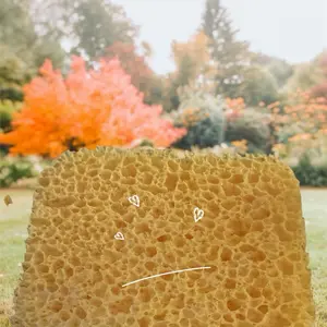 Medium Size Cheese ASMR Sponges Texture Style for Soft Cleaning and Exfoliating