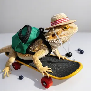 Small Pet Toy 3-Piece Set - Adjustable Hat, Backpack & Mini Skateboard, Cool Costume Props for Lizards, Hamsters, Parrots, Turtles & Reptiles (Holiday Photo Shoots)