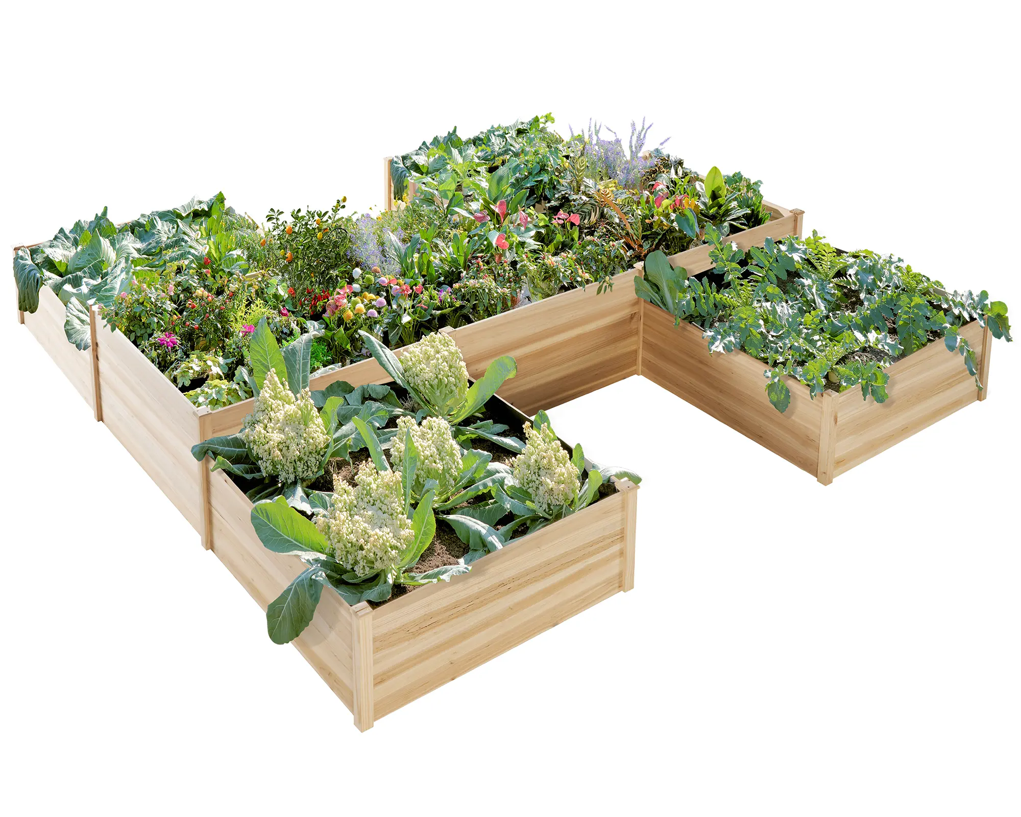 AMERLIFE Raised Garden Planter - 12x12x2 ft H-Shaped Wooden Garden Bed, 180 cu. ft Capacity, Wooden Planter Box with Double Layer Design for Outdoor Patio & Garden