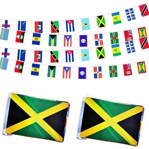 2 Pack 20 Caribbean Countries Small String Flags, 60  40 count Caribbean Nations Pennant Banner Bunting Flags, International Festival, Commemoration,Caribbean Carnival Decorations (2 Pack)
