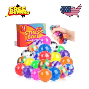 24 Pack Sensory Squeeze Ball, Squishy Ball
