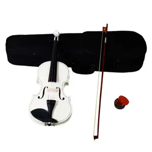 4/4 Full-Size Acoustic Violin Set White Case Bow & Rosin Included Basswood Body Maple Top Professional Construction All-In-One Kit for Adult Learners