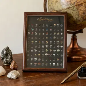 100 Natural Mineral Rock Specimens in Display Frame – Decorative Science Collection for Home Decor and Creative Gift Ideas, Agate Crystal, Gemstones and Crystals