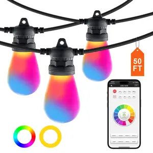 VEVOR RGB Outdoor String Lights,  50FT, Outside Patio Lights with APP Control 15 Bulbs, 15 Single-Color Adjustable Brightness Time Setting, Waterproof Hanging Lights for Halloween Decorations Christmas