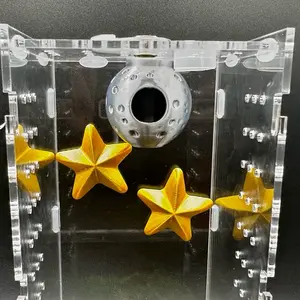 Moon & Stars | Jumping Spider Decor