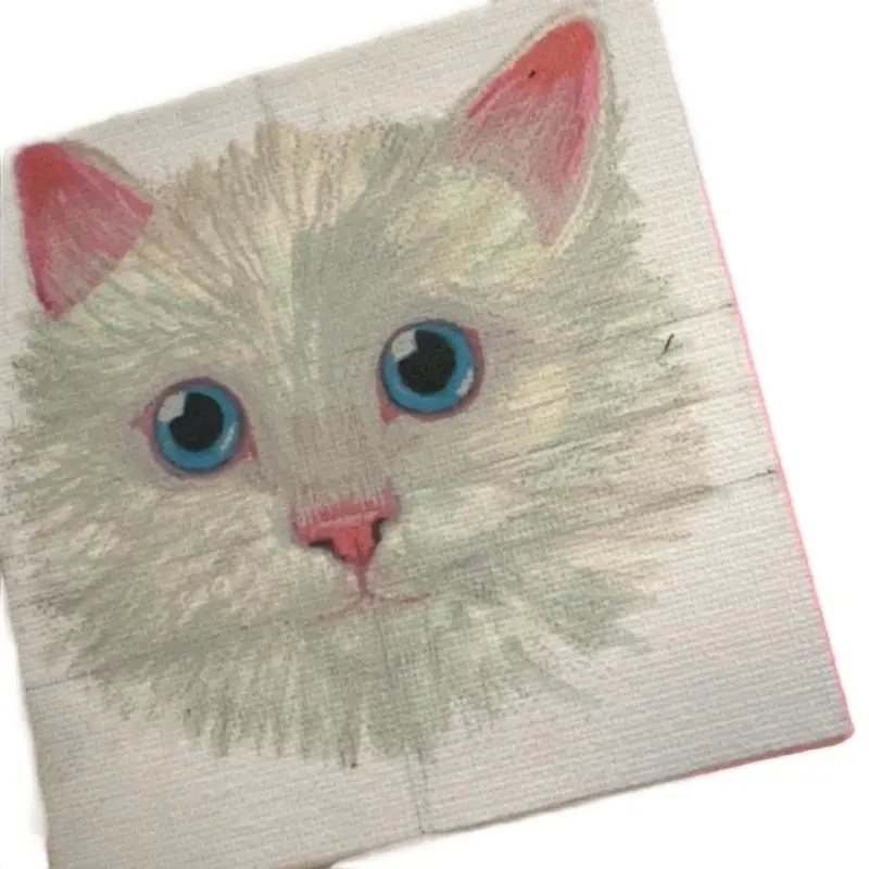 Mini 4x4 custom hand drawn PET Portrait!