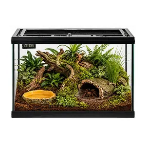 Reptile Glass Terrarium 12×12×8" Reptile tank  - Full View Design with Top Ventilation, Amphibians Box Habitat Enclosure Cage for Frog,Spiders,Dubia Cockroach,Praying Mantis,Cricket,Tarantula,Hermit Crab