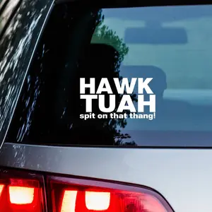 Hawk Tuah Sticker, Spit on That Thang Vinyl Decal, Car Sticker, Funny Meme Sticker