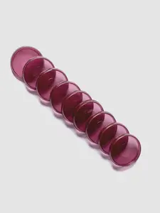 Transparent Planner Discs | Bordeaux