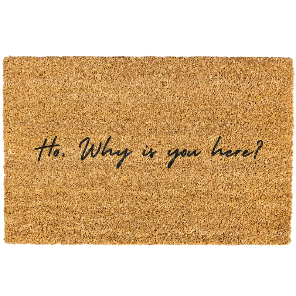 Ho why is you here Door mat, Funny, Decorative Mat, Who You Are, Welcome Mat, Funny Welcome Mat, Go Away Non-slip, Indoor, Outdoor, 10Merch