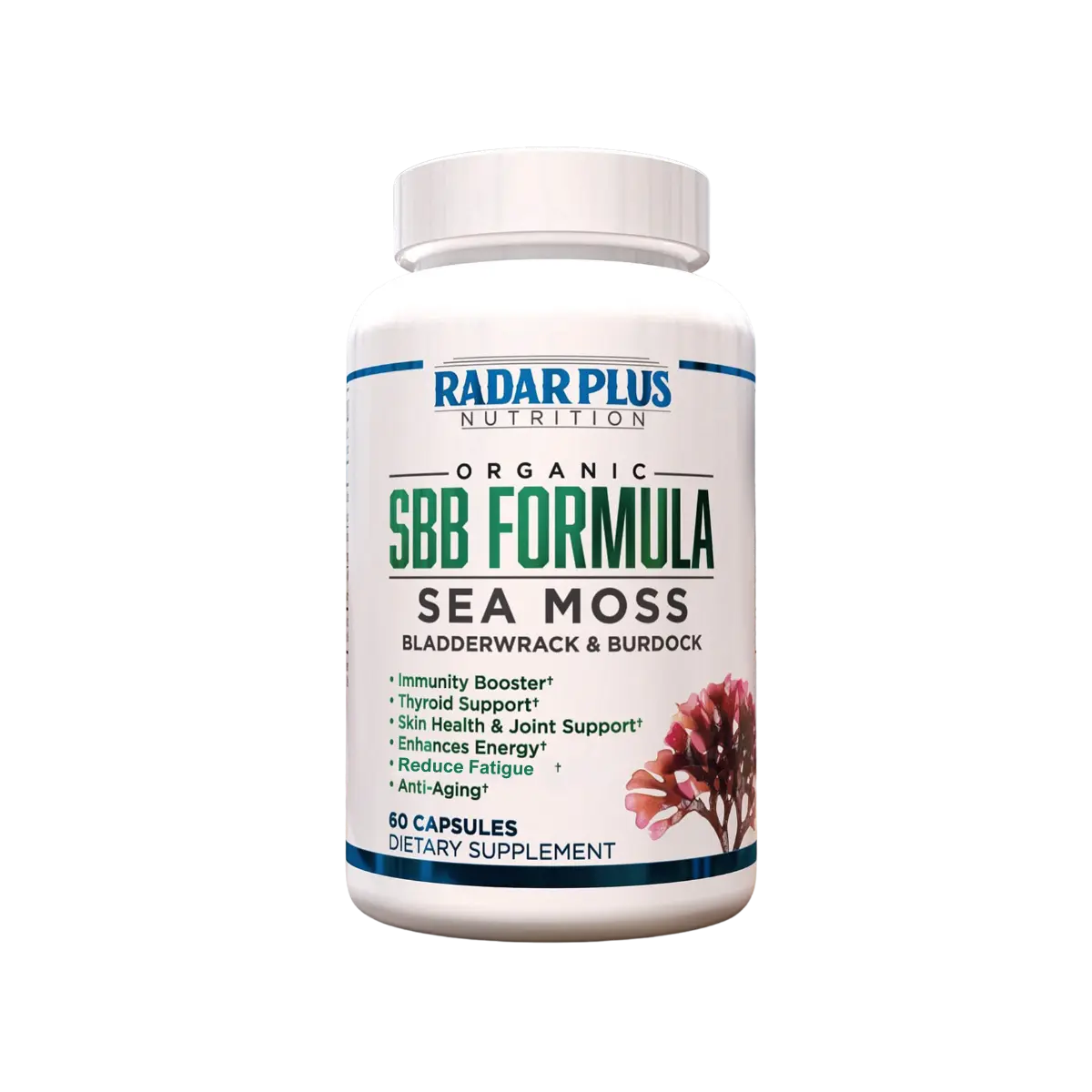 SBB Formula | Sea Moss Bladderwrack Burdock Root | Natural Herbal Wellness Supplement | 60 Vegan Capsules | Radar Plus Nutrition