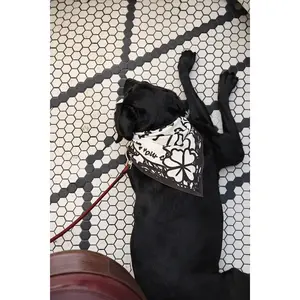 Stuck Soap Signature Scarf - Mono Ink