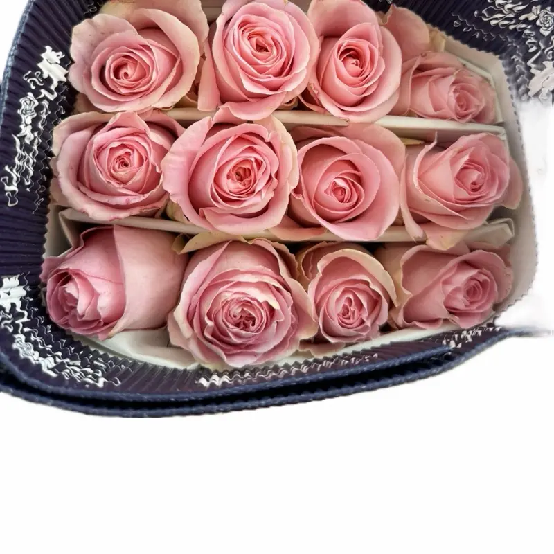 Luciano (light pink)