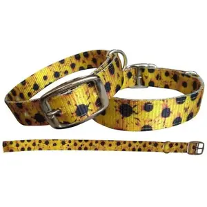 Sunflower designed nylon dog collar