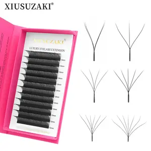 W lashes yy 3D 4D 5D Eyelashes Extensions