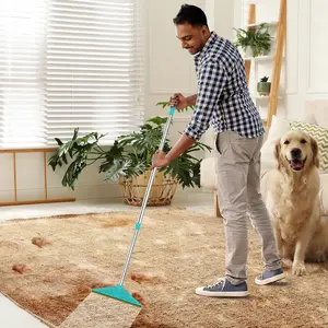 Long Handle Pet Hair Remover, 1 Count Retractable Pet Hair Scraper, Flexible Scraper for Effortless Couch, Bed, & Carpet Cleaning, Valentine's Day Gift