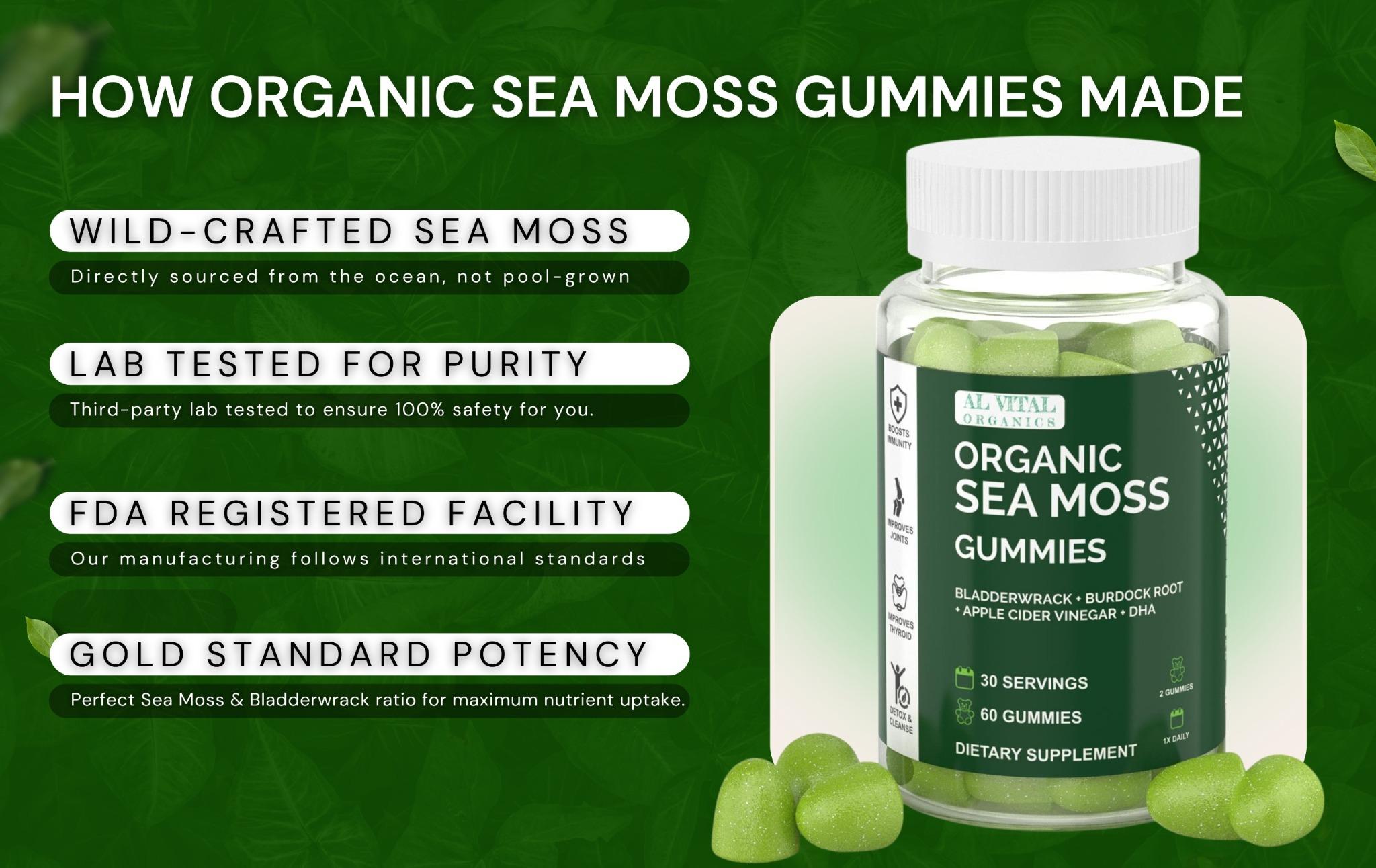 Al Vital Organics Sea Moss Gummies | Organic Natural Superfood | Essential Vitamins & Minerals | US-Made Dietary Supplement | 60 Gummies