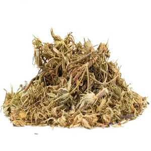 Hierba Del Sapo 2oz Tea Beverage - Mexican Thistle Herbal Tea for Potential Health Benefits & Flavorful Spice Drink