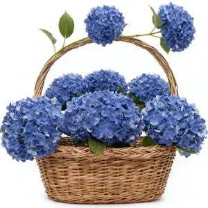 VIKINGS PANDA Fake Hydrangea Artificial Flowers with Stems 12 PCS 19.3" Latex Faux Hydrangea Flowers Bulk Real Touch for Vase Indoor Home Decoration Wedding Centerpieces Arrangements