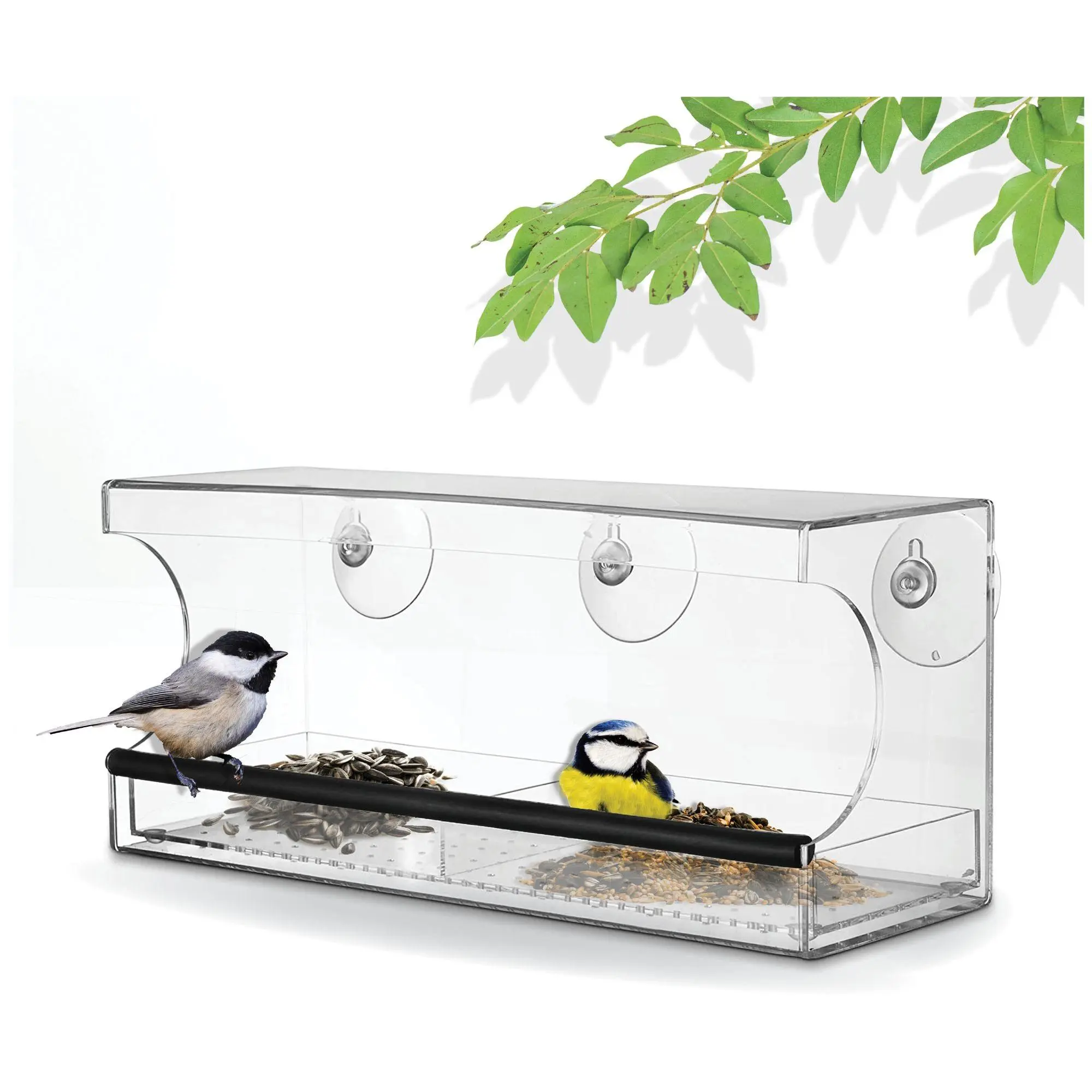 Backyard Expressions Acrylic Clear Window BirdFeeder