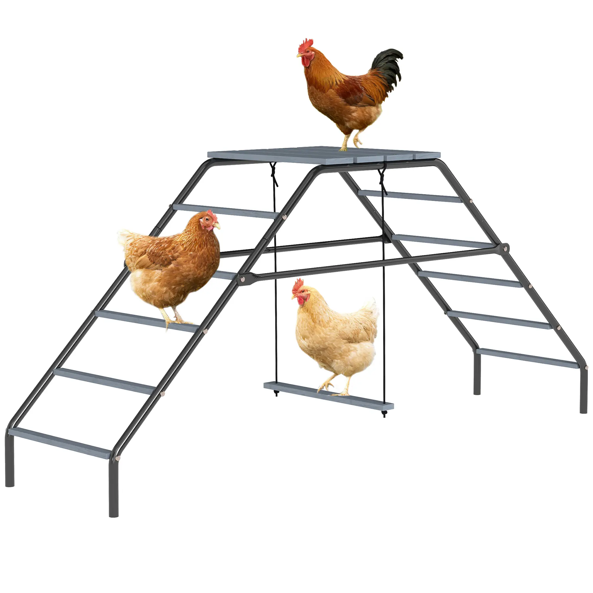 Chicken Perch – 10 Roosting Bars, Platform & Adjustable Swing. 2-in-1 Shape (Linear/Pyramid). Steel/Fir Wood. For 2-5 Chickens