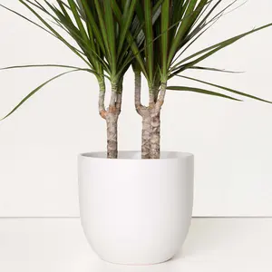 Ceramic Planter - White