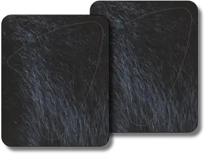 Black Bear Broadside Replacement Vital Zone