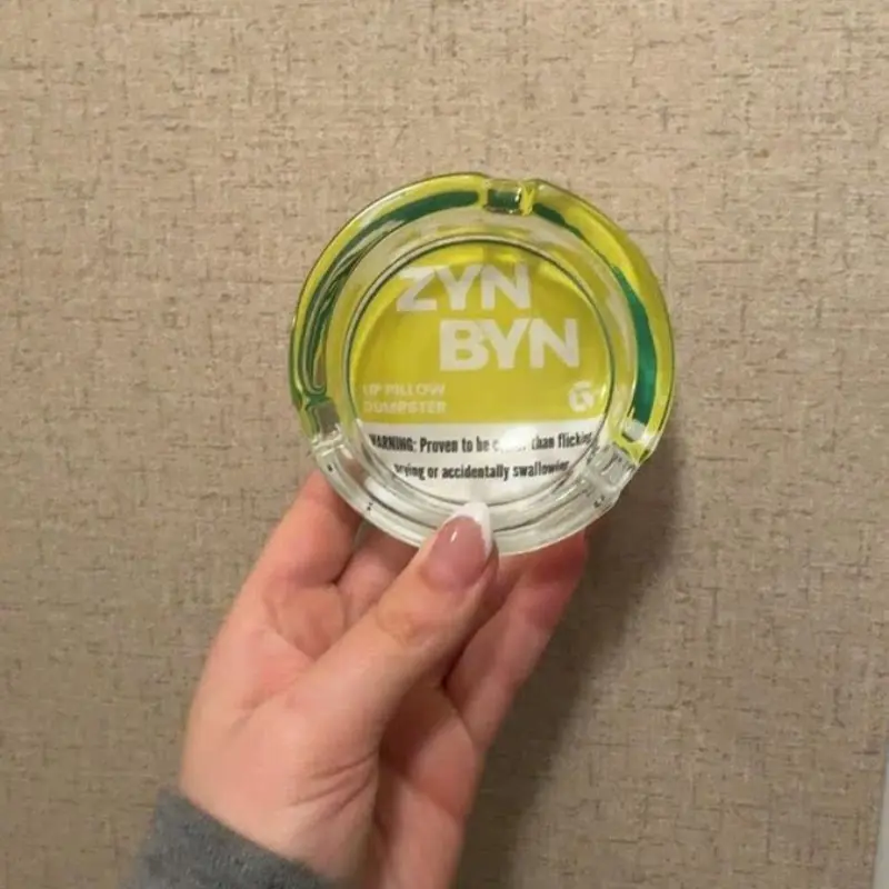 The ZynByn: Official Lip Pillow Dumpster - The Perfect Gift for Him or Her to Cleanup in Style