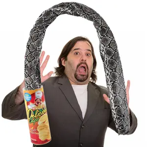 Large Potato Chip Style Jumping Spring Snake Can, 1pc Gag Prank Gift for April Fool’s Day Halloween Party Decorations (Toys & Hobbies, Novelty Gag Toys)