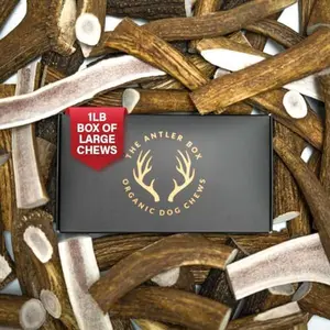 The Antler Box Premium Elk Antler Dog Chews (1 Pound Box)