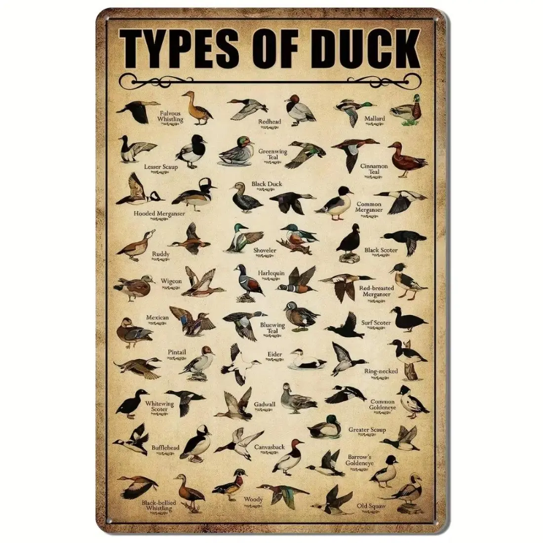 Vintage Duck Hunting Metal Sign, Duck Knowledge Wall Art, Rustic Design Wall Decor for Home Kitchen Bathroom, Home Decor, Vintage Plaque Decoration, Decorative Wall Sign